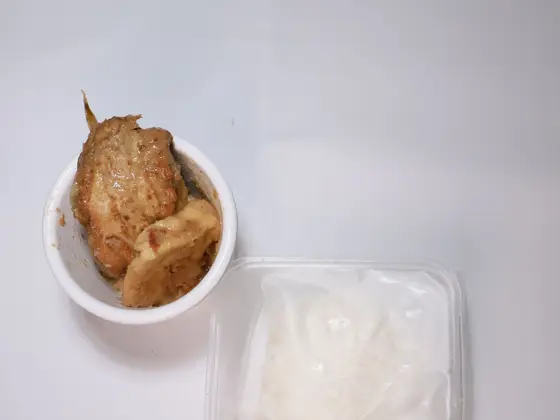Nasi Opor Ayam
