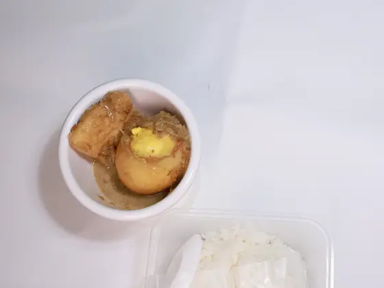 Nasi Opor Telur